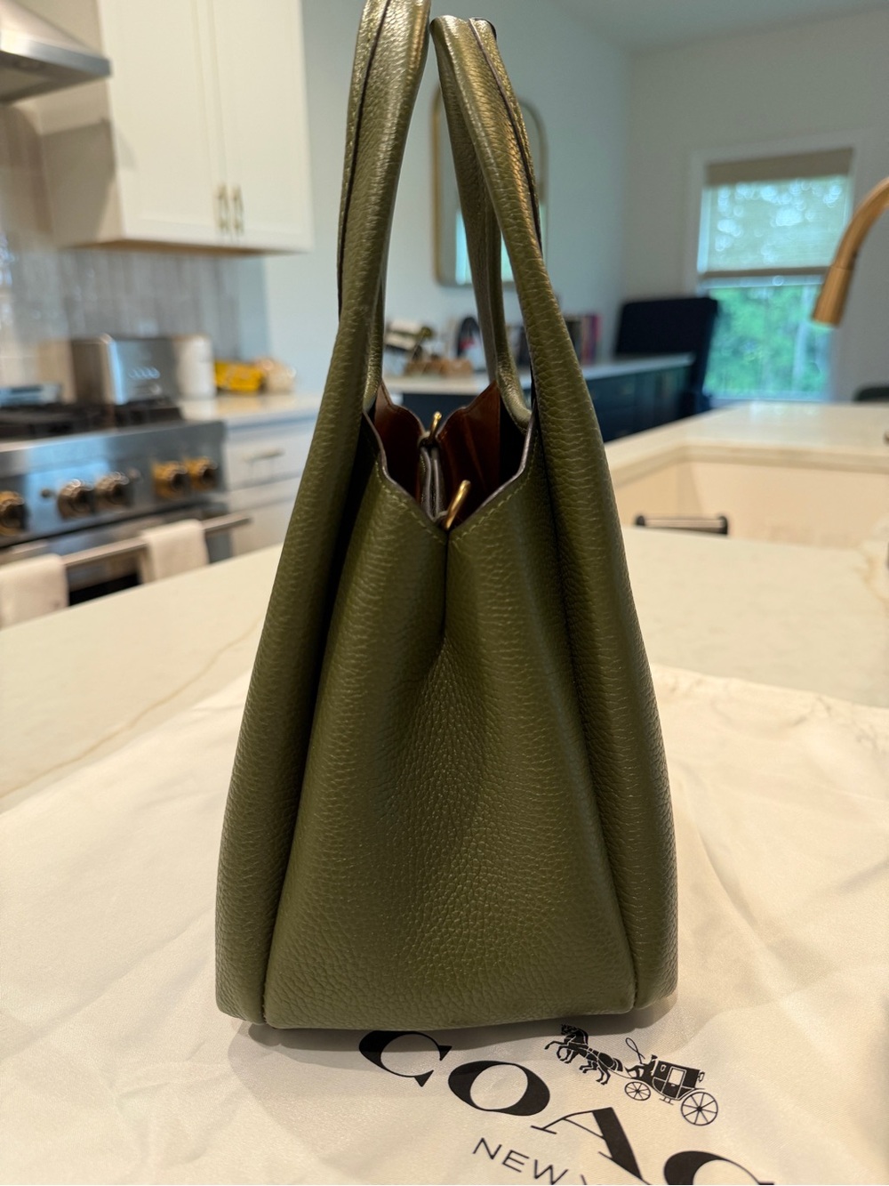 Coach Lana Muted Olive Lana 23 - Picture 5 of 10